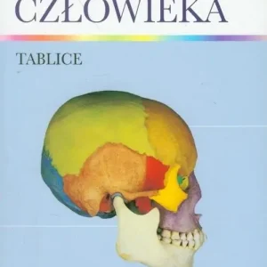Anatomia człowieka Tablice