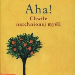 Aha! Chwile natchnionej myśli