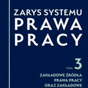 Zarys systemu prawa pracy. Tom 3