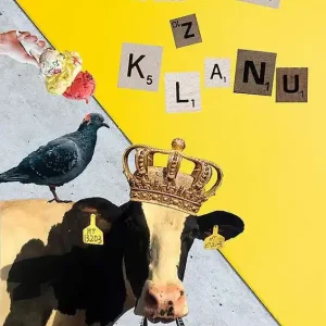 Darek z Klanu