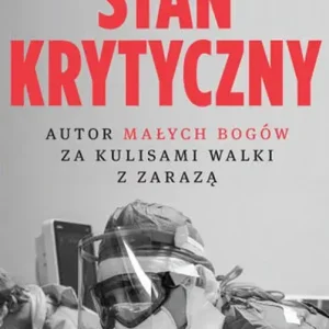 Stan krytyczny