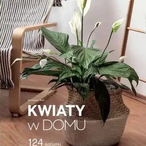 Kwiaty w domu