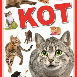 Koty