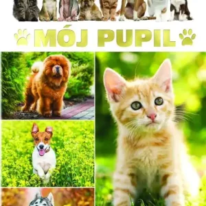 Mój pupil