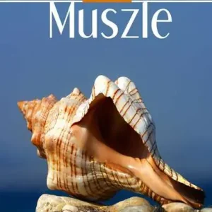 Muszle