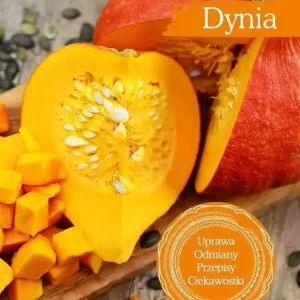 Smaki z mojego ogrodu 2/2017 Dynia