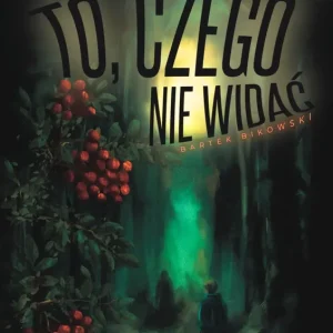 To, czego nie widać