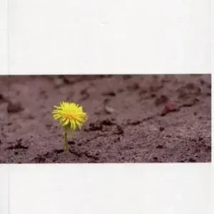 Pokusa istnienia