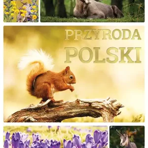 Przyroda Polski