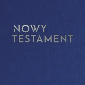 Nowy Testament z infografikami  wersja srebrna