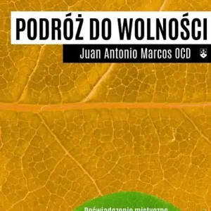 Podróż do wolności Doświadczenie mistyczne ujęte w metafory z życia codziennego według św. Jana od Krzyża