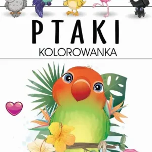 Ptaki Kolorowanka