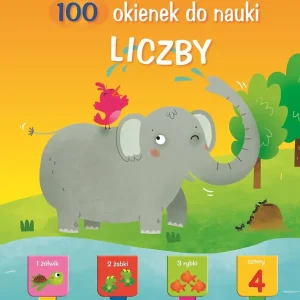 Liczby. 100 okienek do nauki