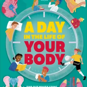 Day in the Life of Your Body