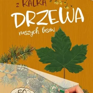 Drzewa naszych lasów. Zeszyt z kalką wyd. 2025