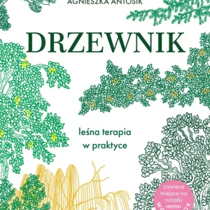 Drzewnik. Leśna terapia w praktyce