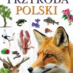 Przyroda polski
