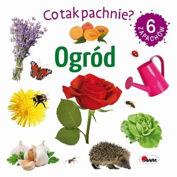 Co tak pachnie? Ogród