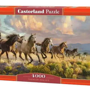 Puzzle 4000 Thunder Prairie C-400430-2