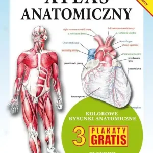 Atlas anatomiczny